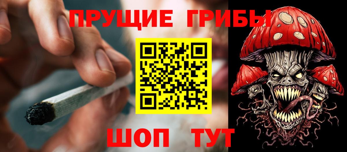 Галлюциногенные грибы Cubensis  Вход с VPN  Старая Купавна 